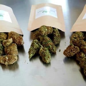 PACKCBD - CBD FLOWERS