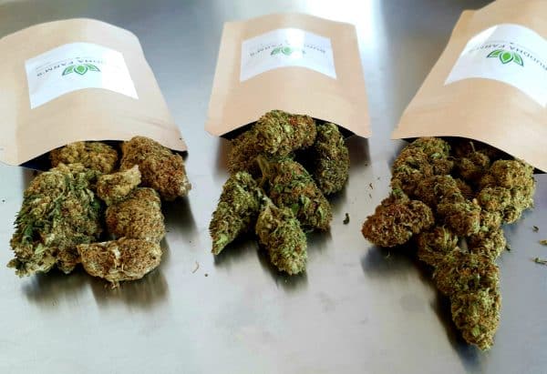 PACKCBD - CBD FLOWERS