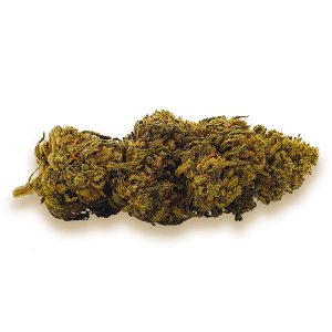 LEMON KUSH