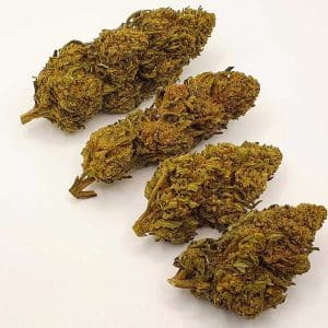 LEMON KUSH