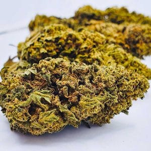 LEMON KUSH