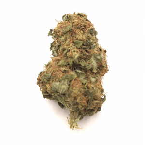 BIG BUD BRO