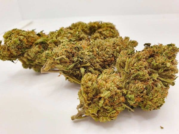 TRIM WHITE Witfra PREMIUM
