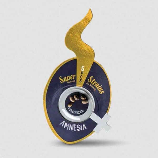 Super Strains Feminized Seeds - Amnesia
