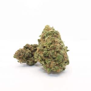 CALI DREAM - culture greenhouse Italie CBD<10%