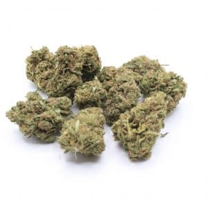 CALI DREAM - culture greenhouse Italie CBD<10%