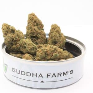 BLUE CHEESE