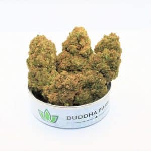 Banana Kush