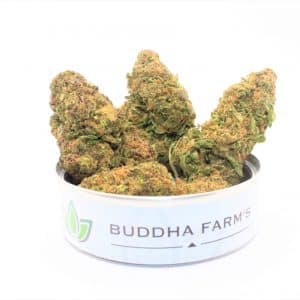 ICE CREAM 5g MIST (crumbled heads)