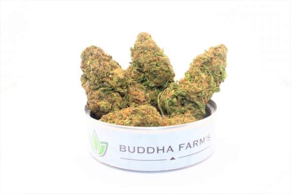 ICE CREAM 5g MIST (crumbled heads)