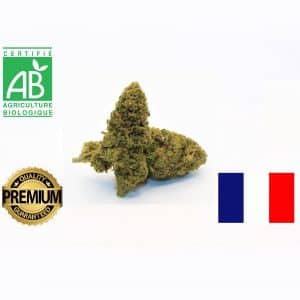 AMNESIA 5g SMALL BUD (small buds) - French Indoor Hydroponic Culture ORGANIC 10% CBD