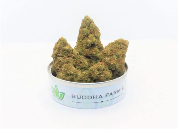 SOUR TANGIE