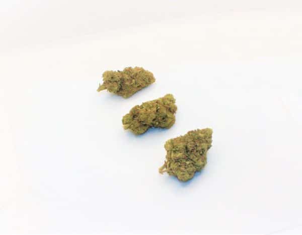 SOUR TANGIE