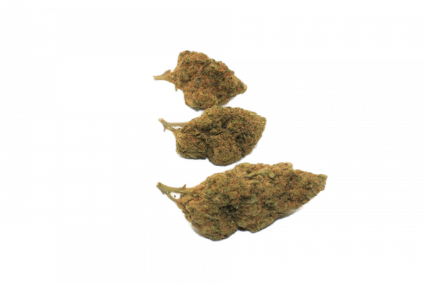 GIRL SCOUT COOKIES - 10g SMALL BUD - Indoor Premium Suisse CBD <10%