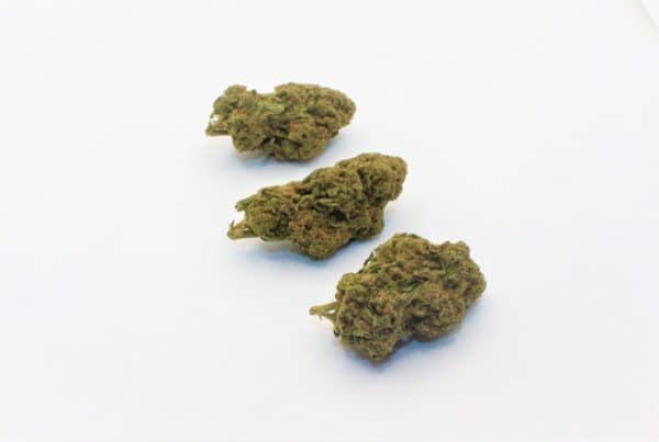 CHERRY HAZE