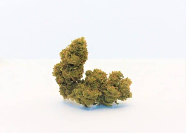 White Widow PEQUENOS BOTÕES (pequenos botões)