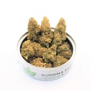 ORANGE COOKIES