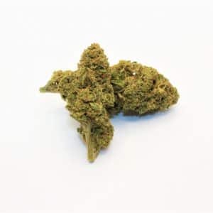 AMNESIA 5g SMALL BUD (small buds) - French Indoor Hydroponic Culture ORGANIC 10% CBD