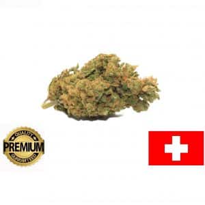 ORANGE BUD - Cultivation Indoor Premium Switzerland CBD &lt;10%