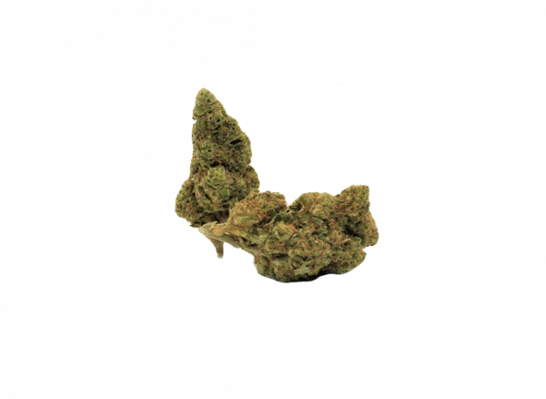 WILD THING 5g SMALL BUDS (small buds)