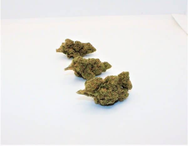 WILD THING 5g SMALL BUDS (small buds)