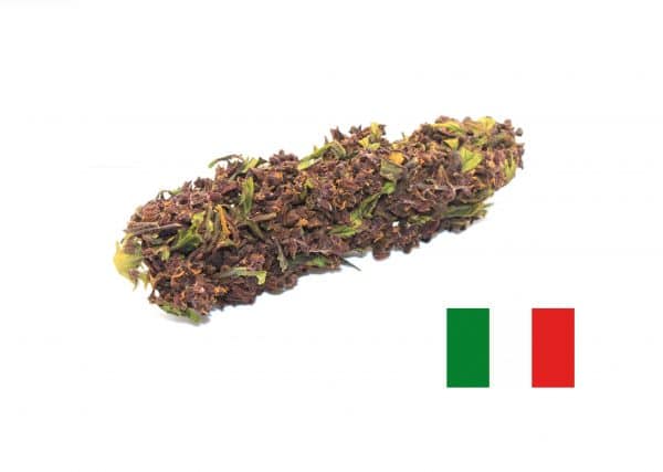 Pack SAVEUR 15g - Fleurs CBD au choix 3 X 5g Greenhouse et Indoor