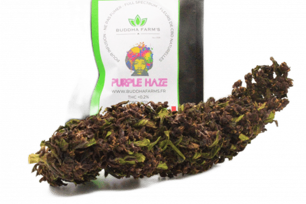 PURPLE HAZE - Greenhouse CBD <10%