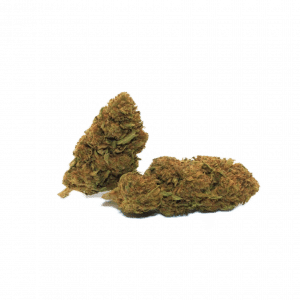 ORANGE BUD - PROMO -50% - Kultur Treibhause Italien CBD&lt; 10%