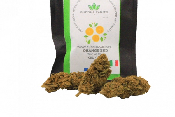 ORANGE BUD - PROMO -50% - Kultur Treibhause Italien CBD&lt; 10%