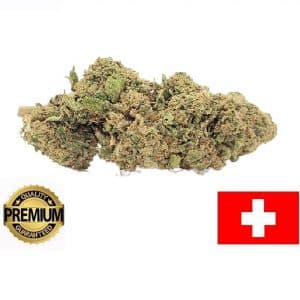 PINEAPPLE KUSH - Culture Indoor Premium Suisse