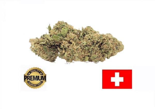 PINEAPPLE KUSH - Culture Indoor Premium Suisse