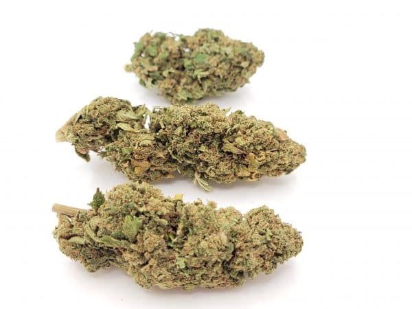 PINEAPPLE KUSH - Culture Indoor Premium Suisse