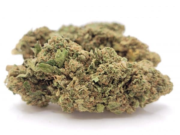 PINEAPPLE KUSH - Culture Indoor Premium Suisse