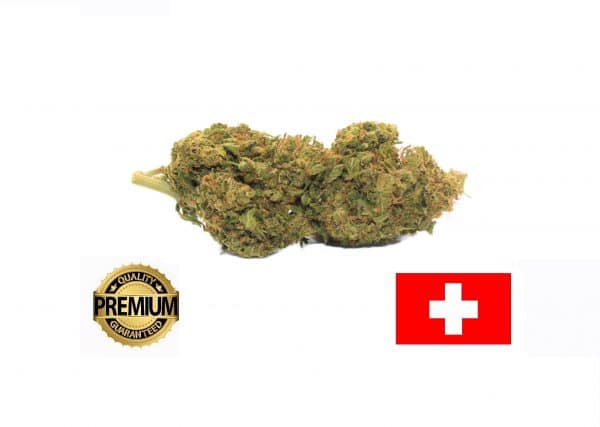 AMNESIA - Culture Indoor Premium Switzerland CBD &lt;10%