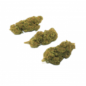 AMNESIA - Culture Indoor Premium Switzerland CBD &lt;10%