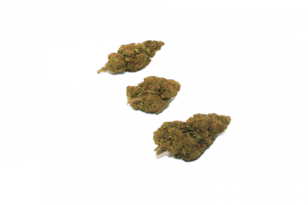 STRAWBERRY BANANA - Cultivation Indoor Premium Switzerland
