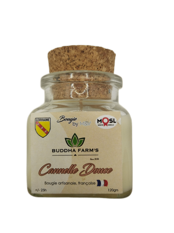 ARTISANAL CANDLE - Perfume of your choice - 120g French production natural wax
