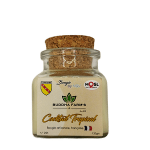 ARTISANAL CANDLE - Perfume of your choice - 120g French production natural wax
