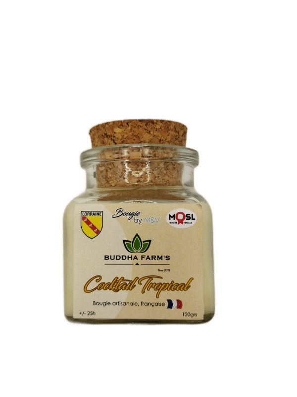 ARTISANAL CANDLE - Perfume of your choice - 120g French production natural wax
