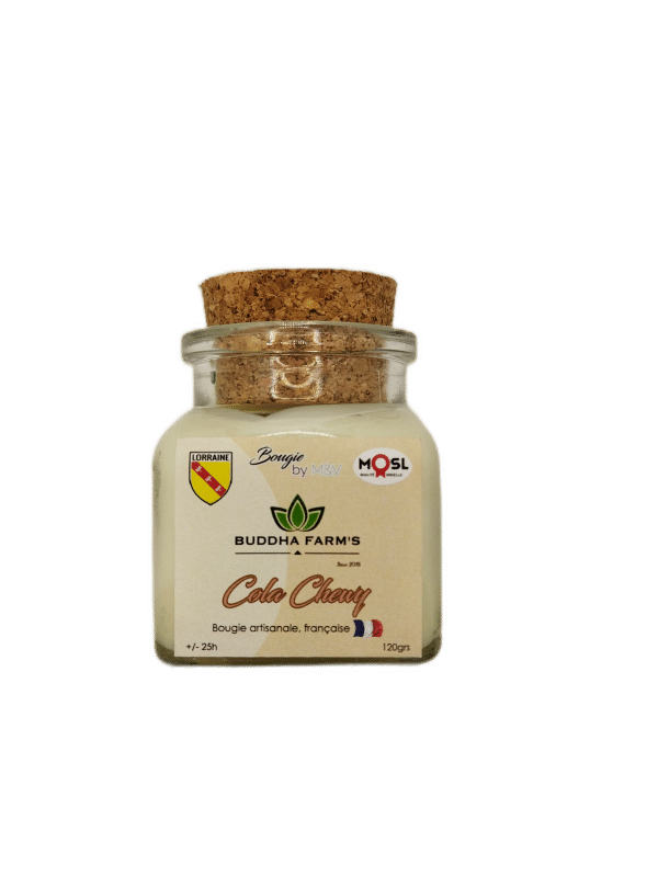ARTISANAL CANDLE - Perfume of your choice - 120g French production natural wax