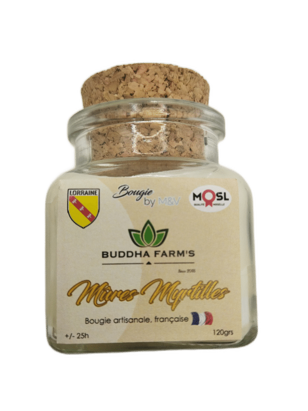 ARTISANAL CANDLE - Perfume of your choice - 120g French production natural wax