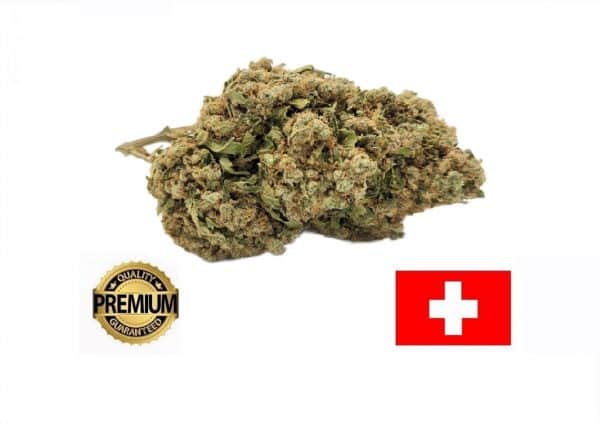 FRUITY LOOP - Culture Indoor Premium CBD Suisse