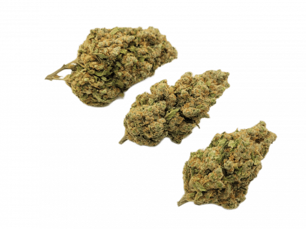 FRUITY LOOP - Culture Indoor Premium CBD Suisse