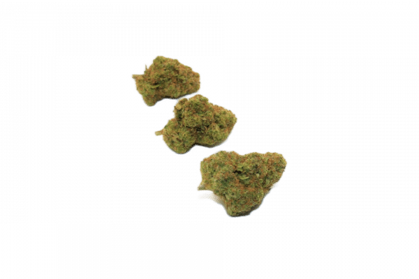 RAINBOW - Culture Indoor Premium CBD