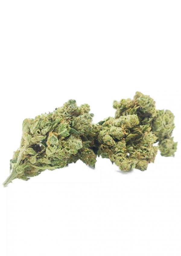 HAZE - Cultivation Indoor Premium CBD