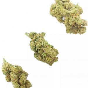HAZE - Cultivation Indoor Premium CBD
