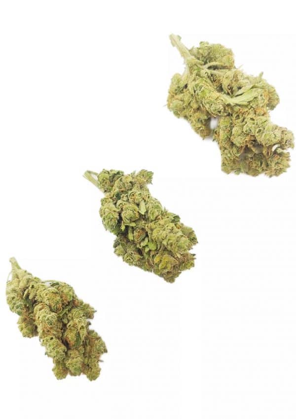 HAZE - Cultivation Indoor Premium CBD
