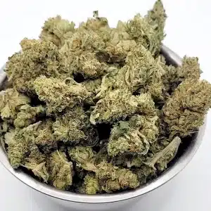 OG KUSH - BABY BUDS Culture Indoor CBD Switzerland