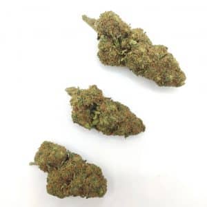 STRAWBERRY KUSH - Culture Indoor Premium CBD Suisse
