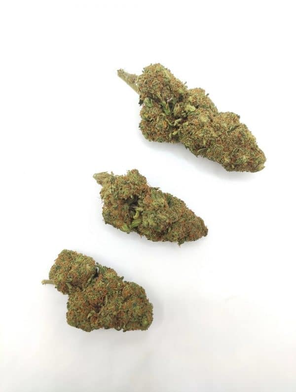 STRAWBERRY KUSH - Culture Indoor Premium CBD Suisse